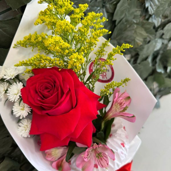 Comprar Rosa Vermelha Floricultura em Joinville