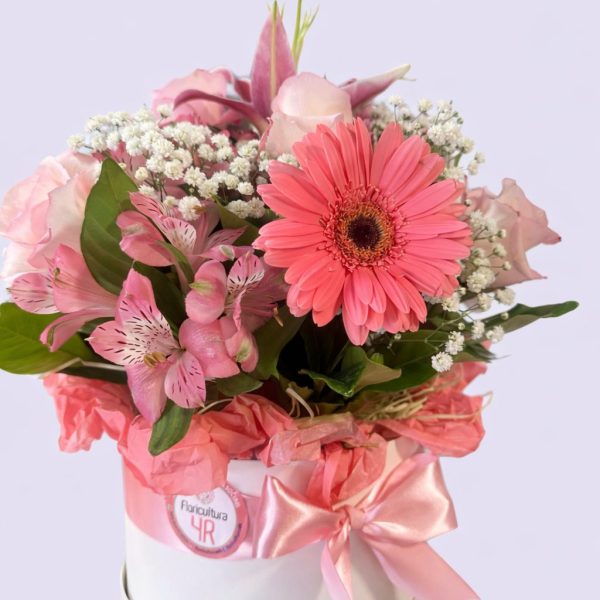 Caixa Box  "Presente Especial"